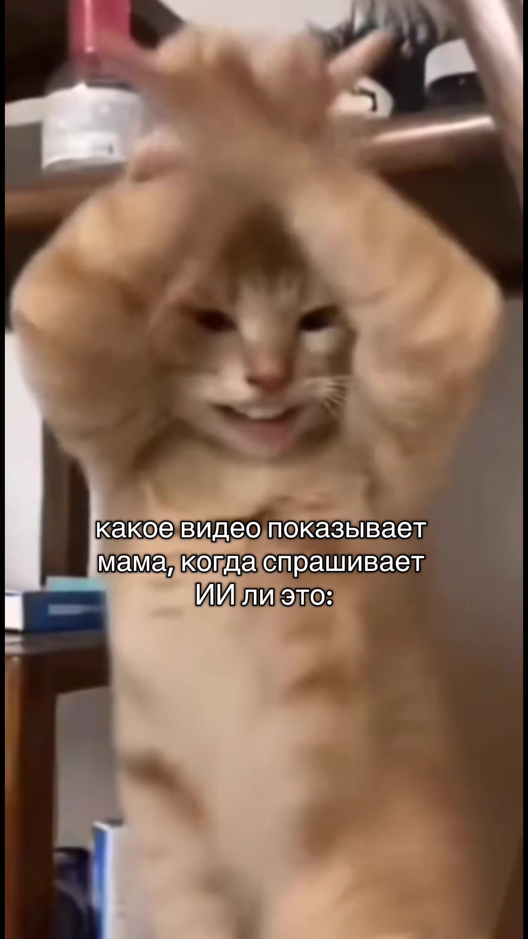 @Dashpat