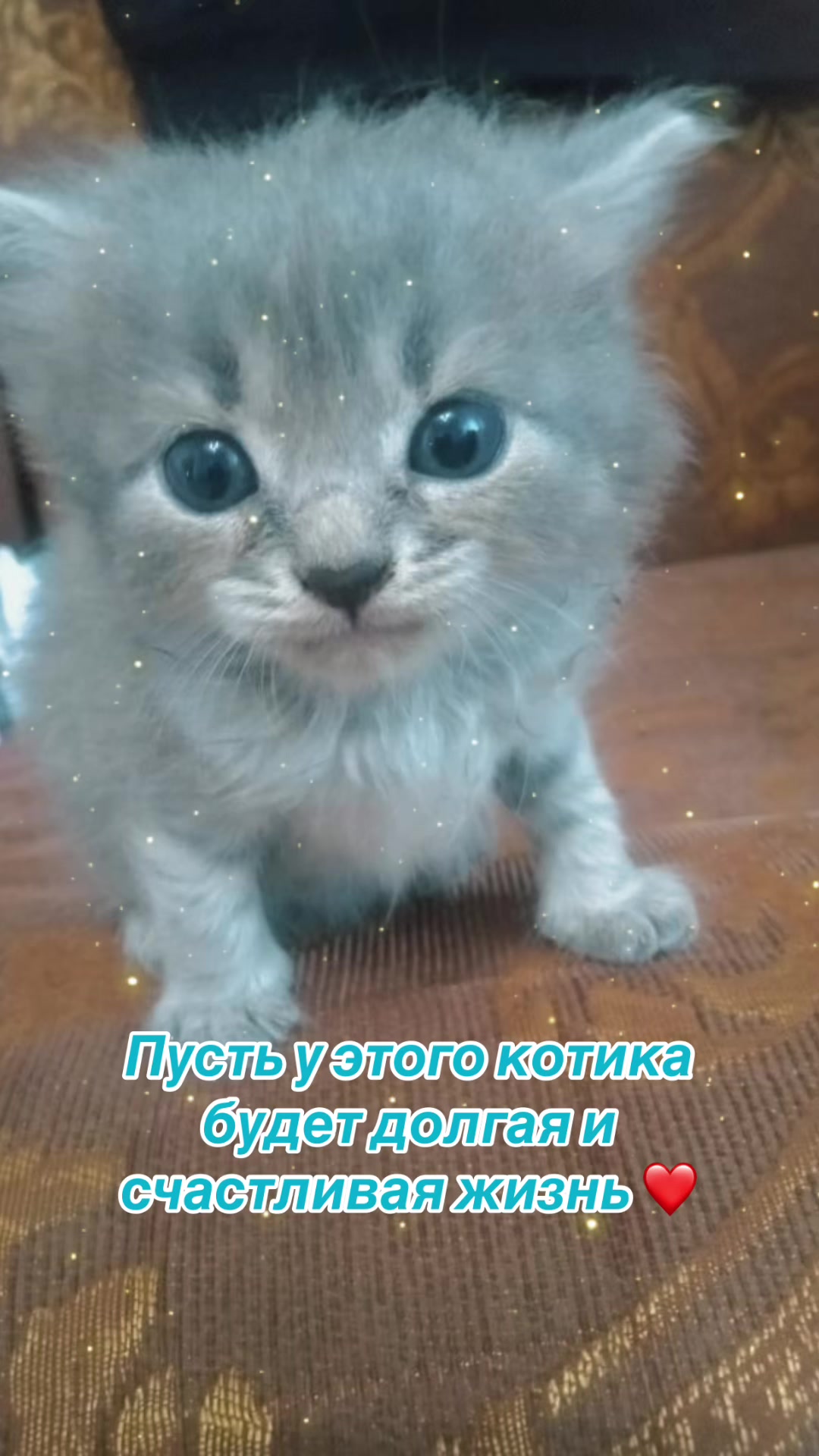 @Elena.