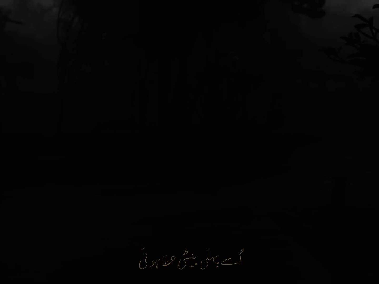 @🕷️