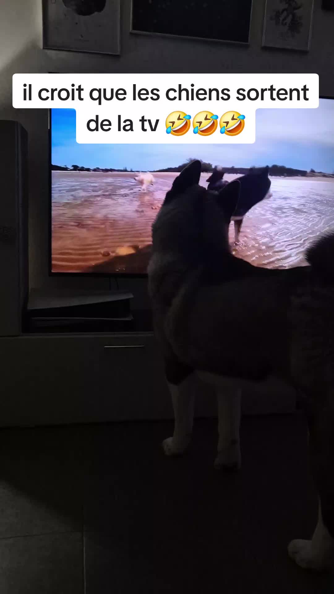 @Eric 57