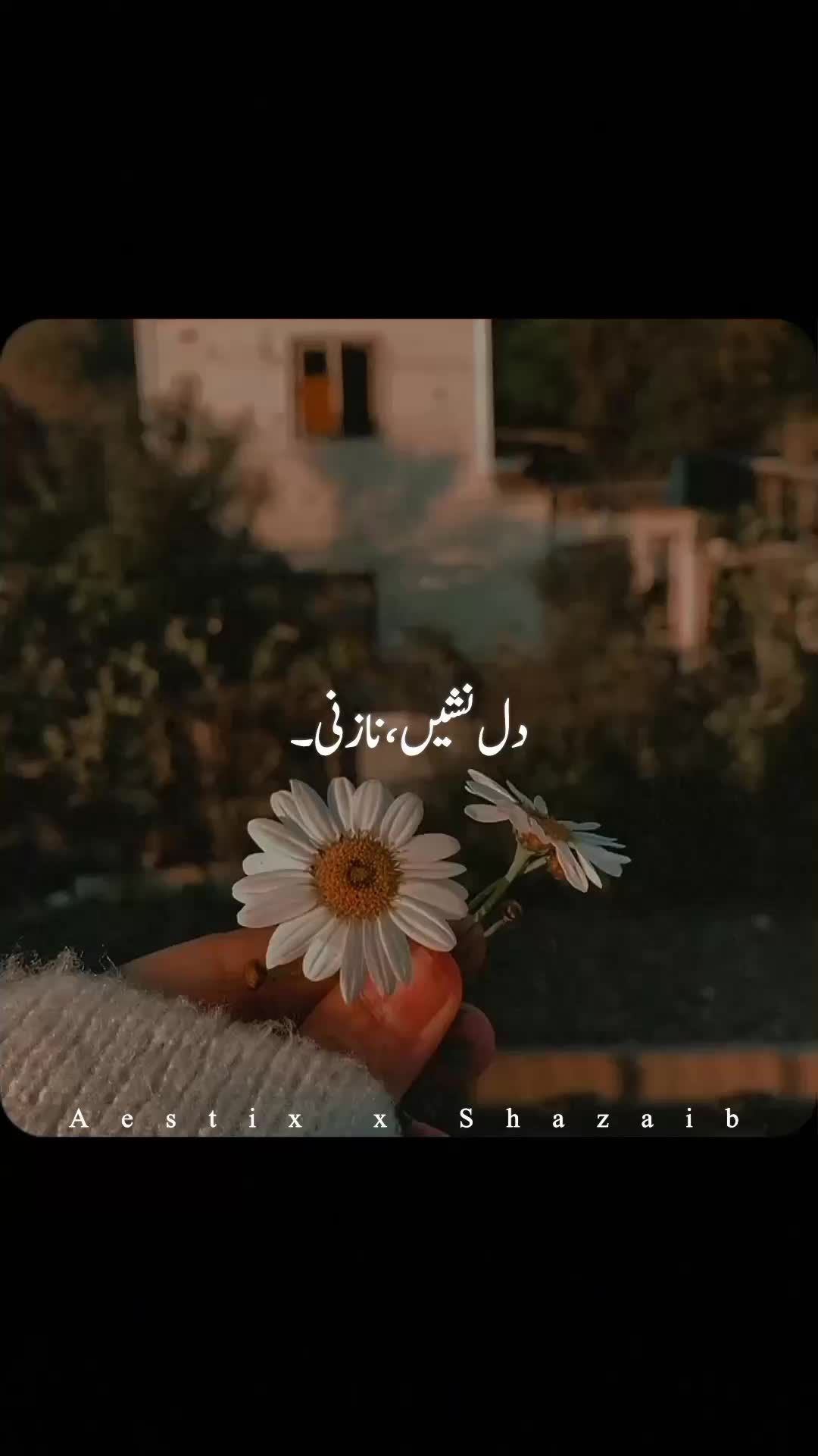 @Aestix x Shazaib