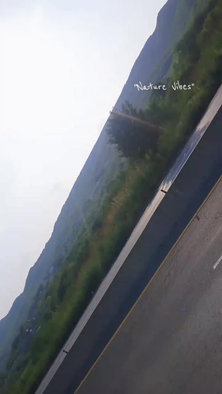 @punjabi song ki dewani kori ♥️