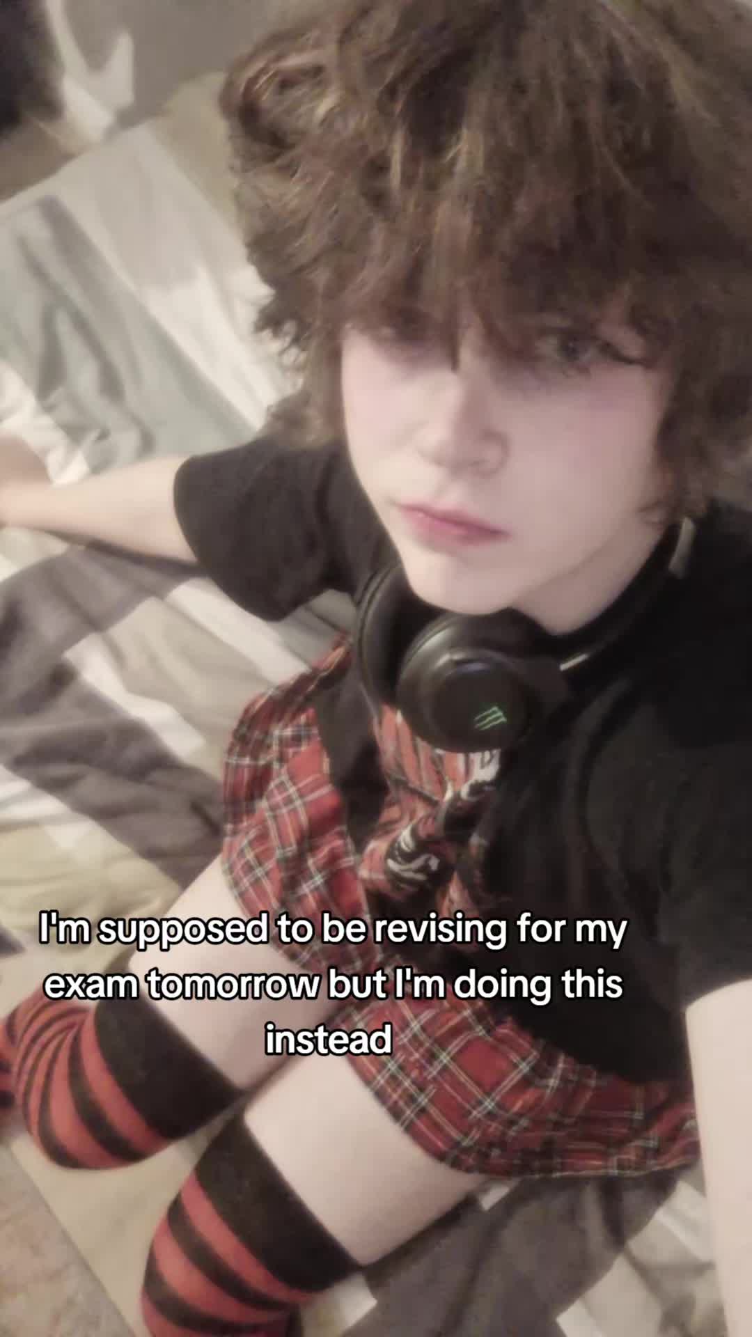 @catboy lilac
