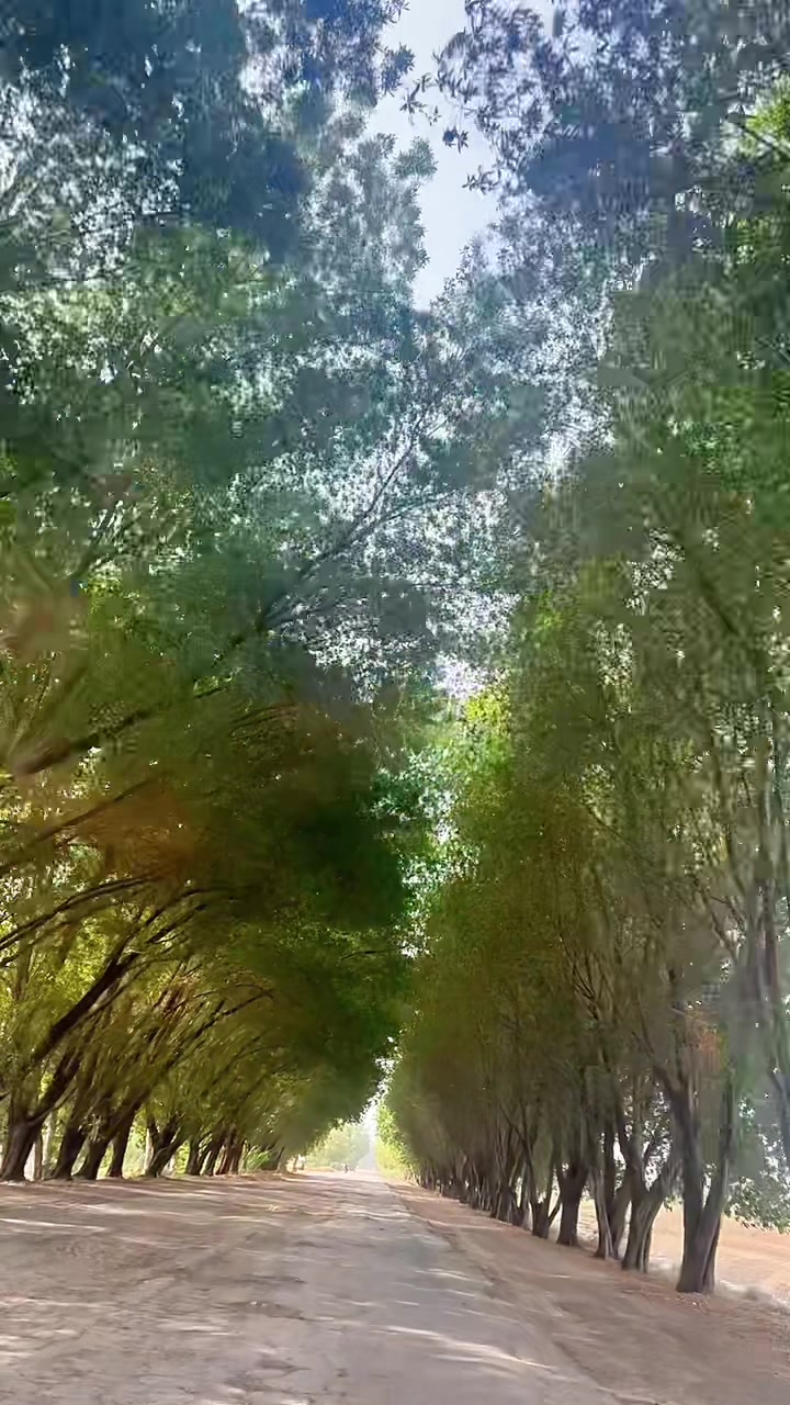 @𝓜 𝓢 ❤️🥀