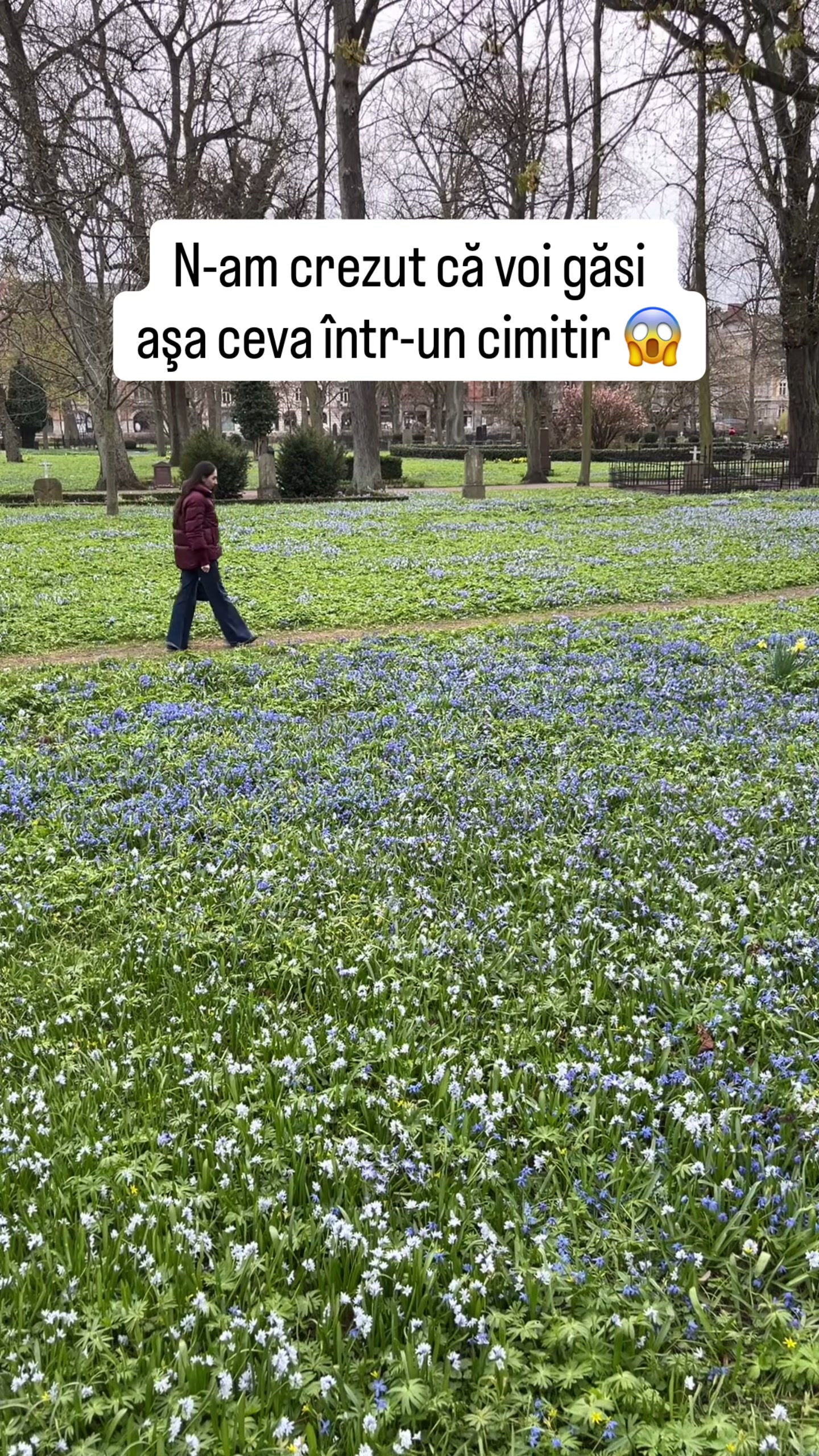 @@PierdutiInVacanta