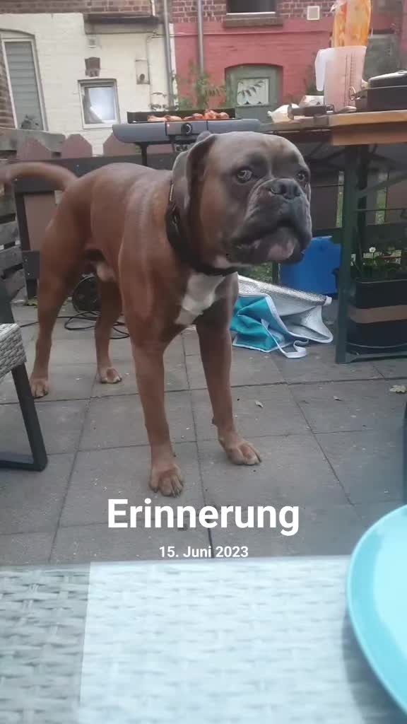 @nala23