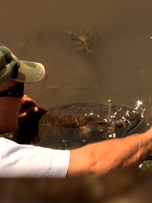 @Fishing TV