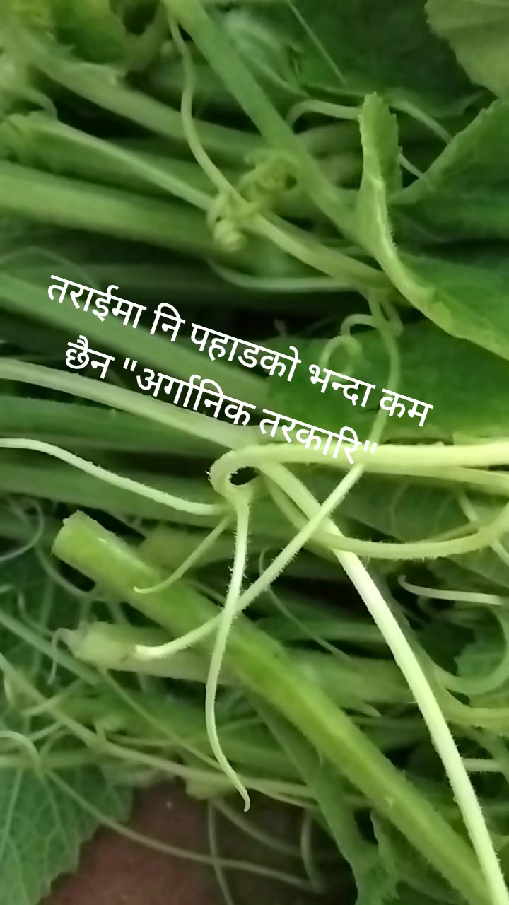 @Rita bhandari