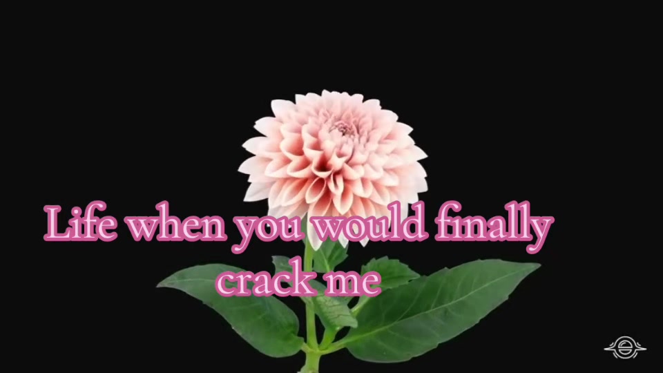 @xxxmrmagic