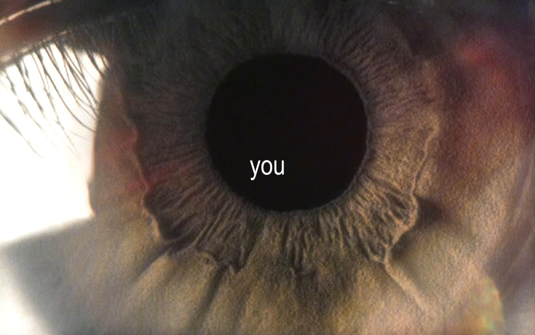 @ladybug