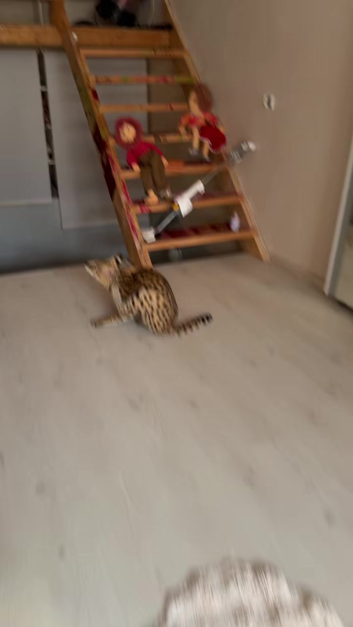 @Иса