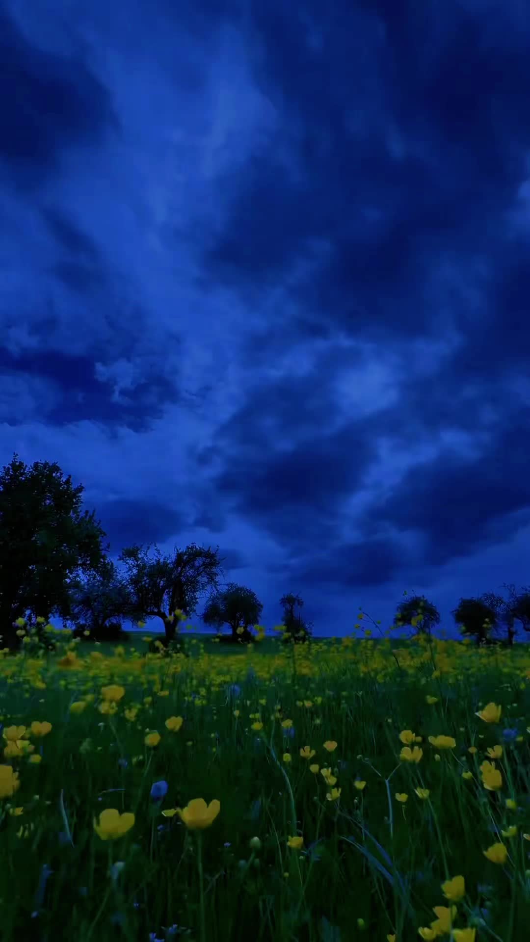 @NatureVibes0