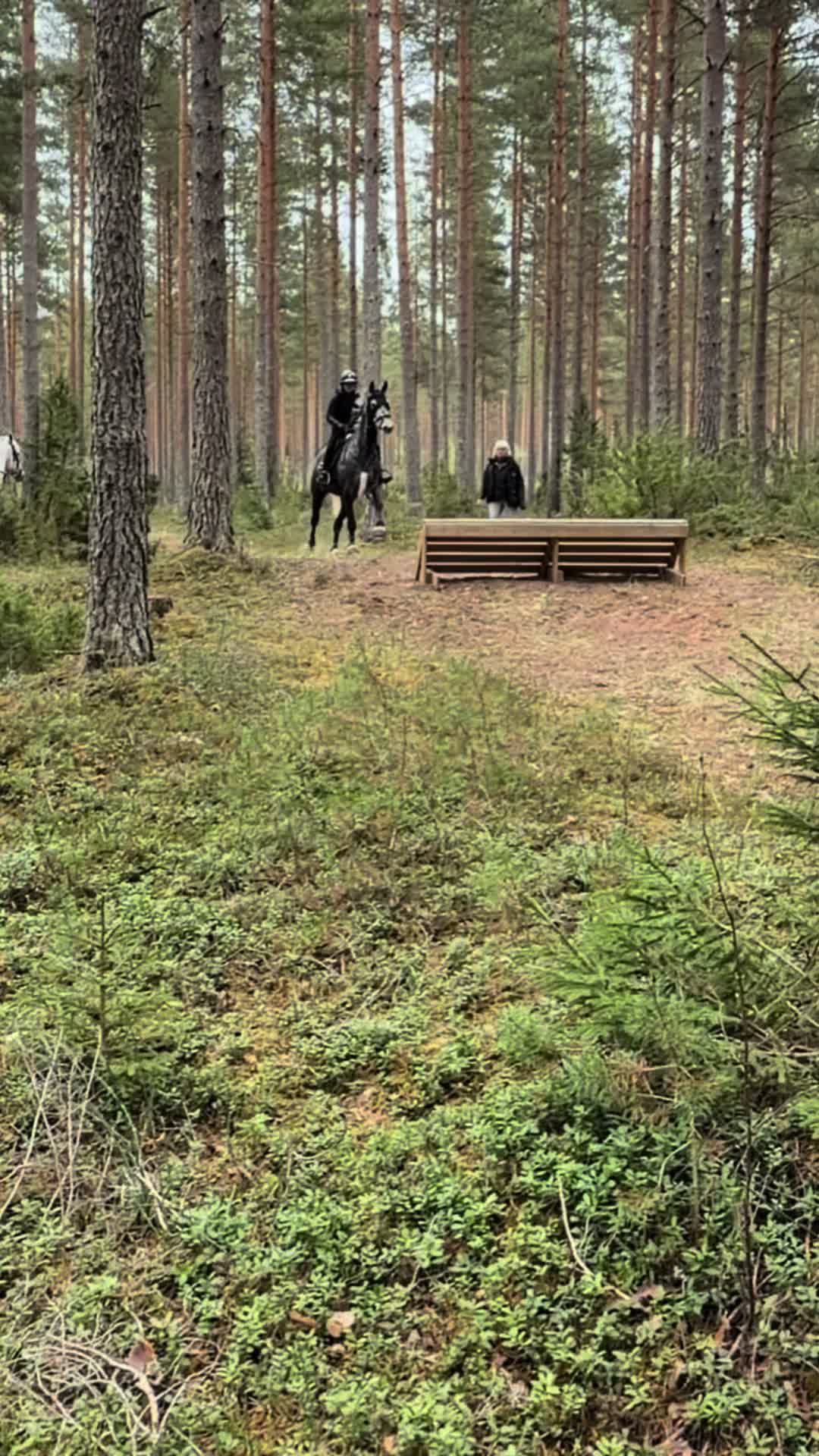 @🤍Elin Tyskhagen🤍