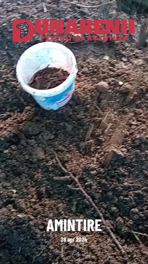 @Pescarul Dunărean