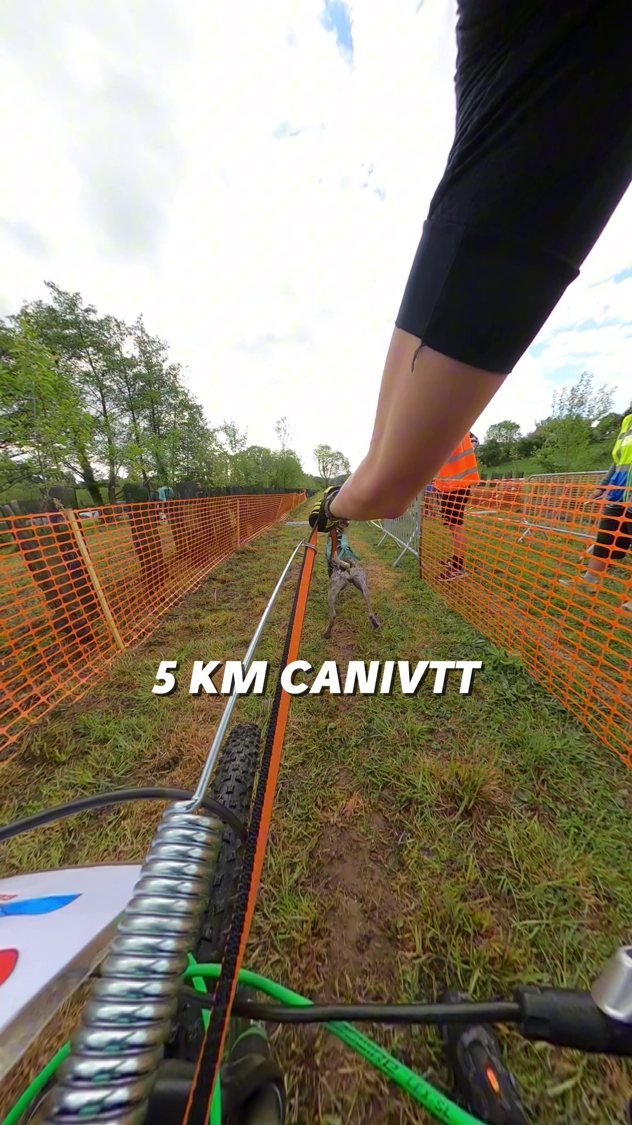 @juleskennel