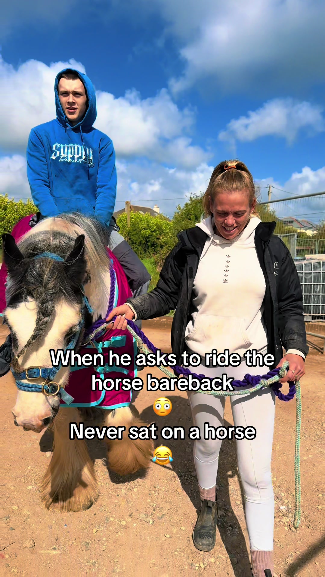 @horsetiktoc