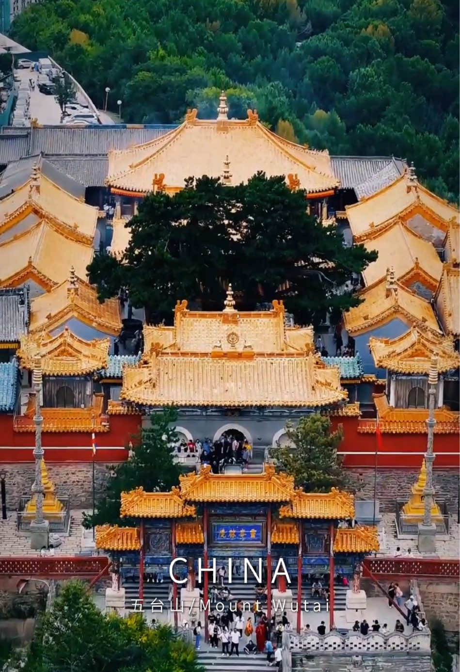 @Poetic China