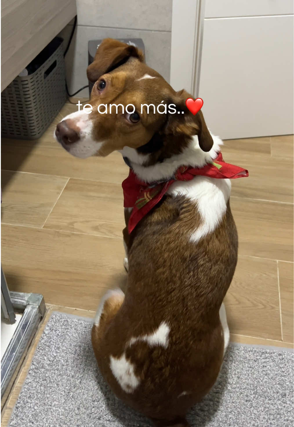 @exploraconxavi