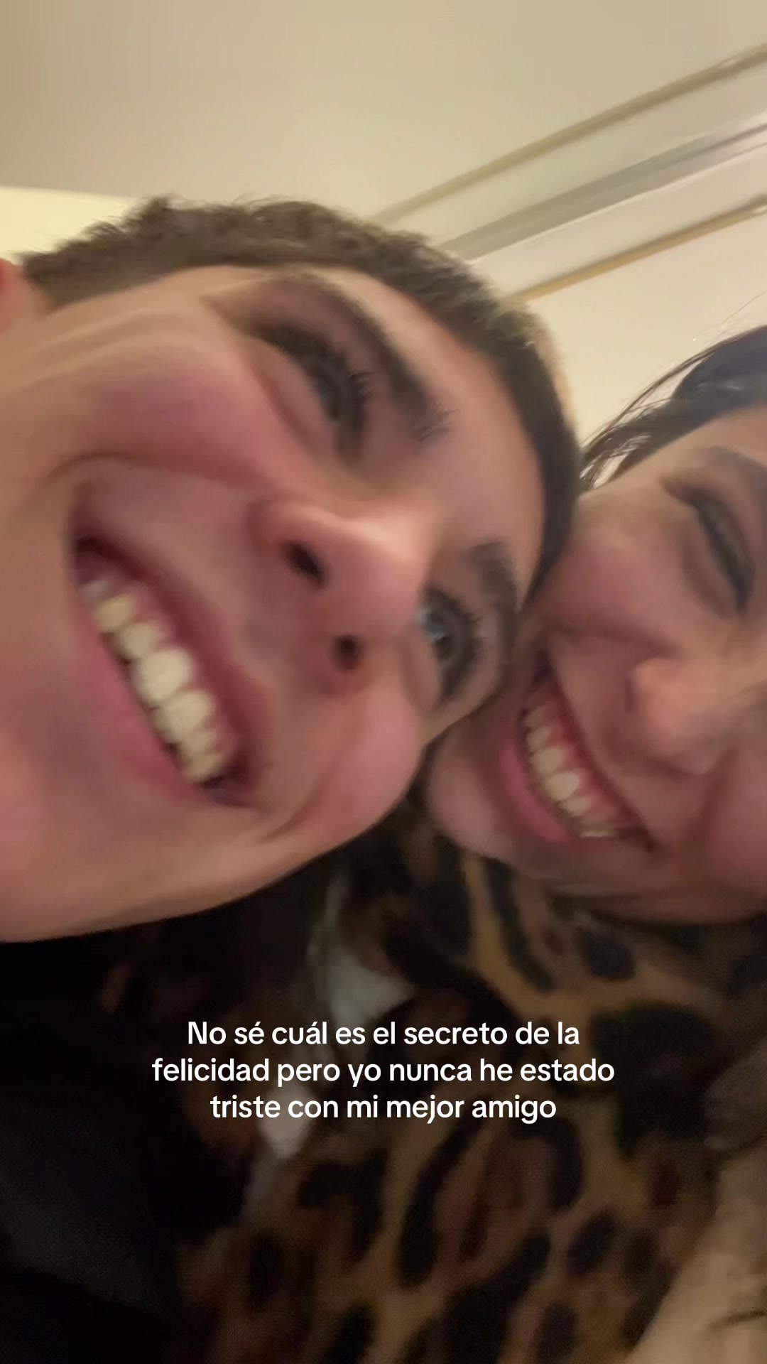 @luci