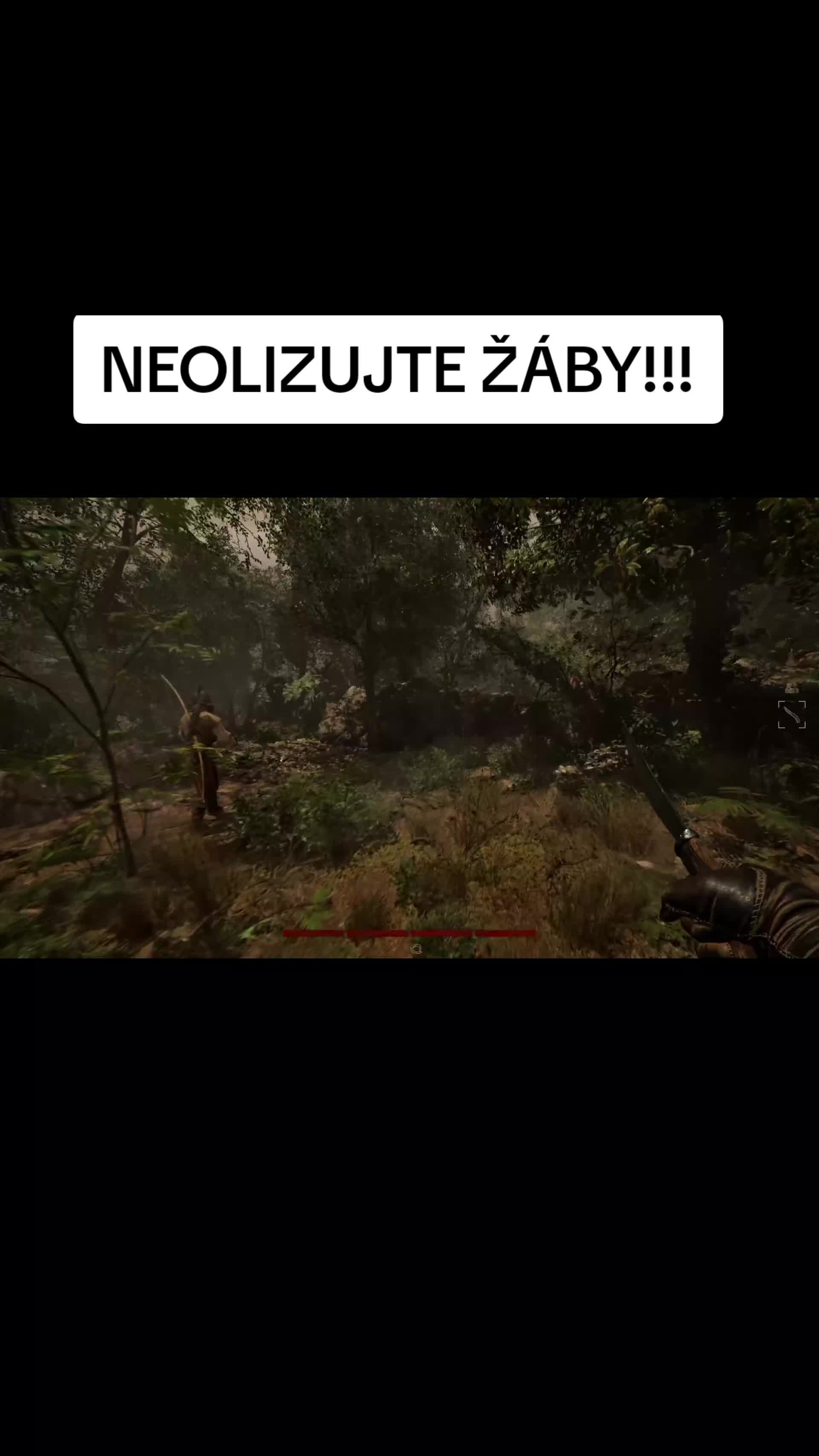 @Lucie Daňková