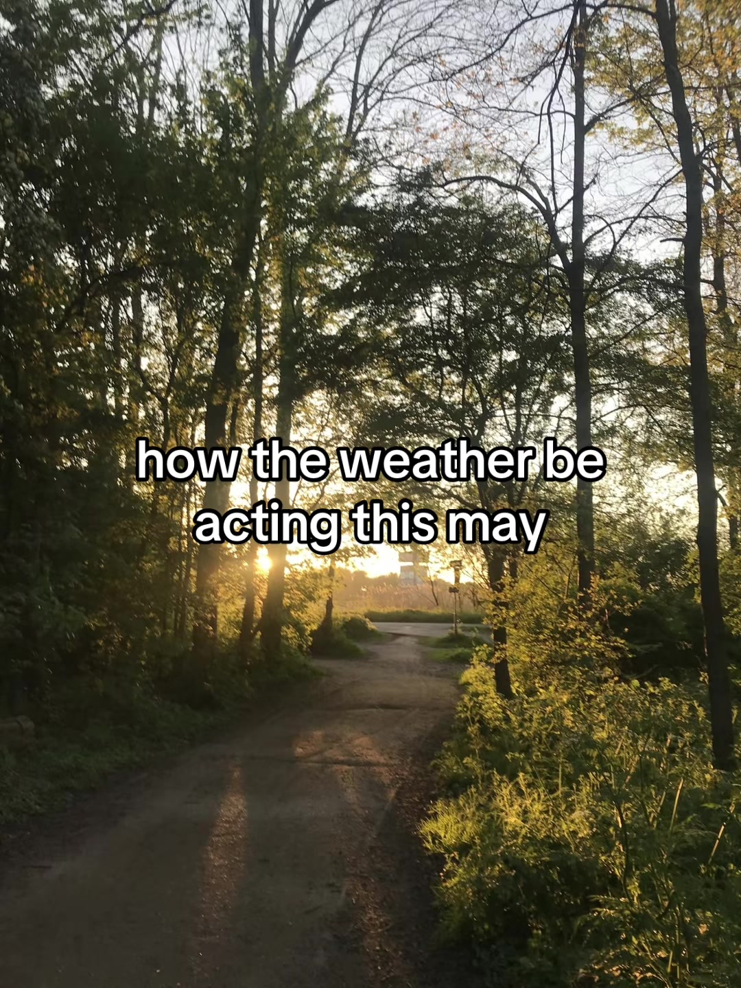 @🫔🚲