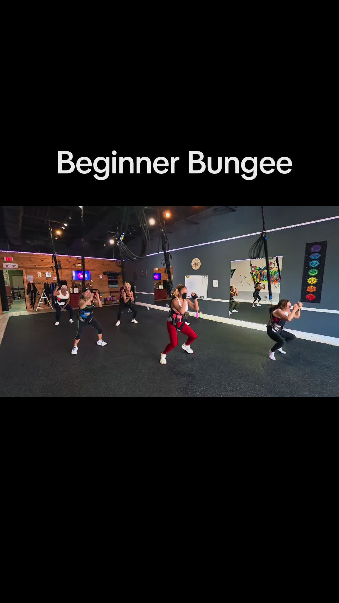 @Dragonfly Bungee
