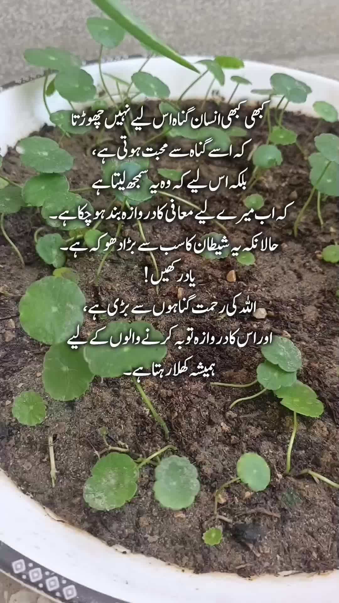 @Kainat Quotes