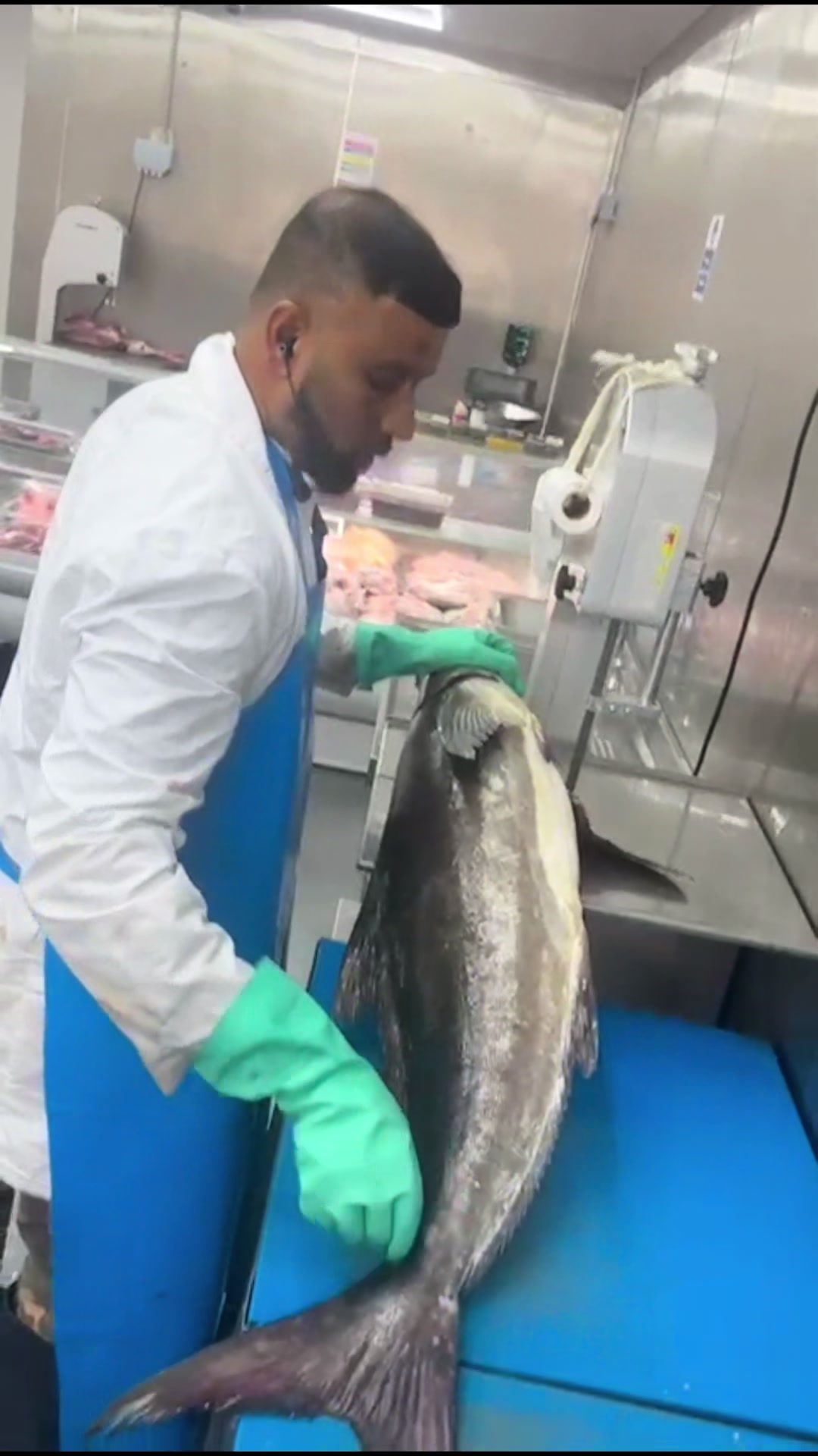 @Fishworld and Halal Meat