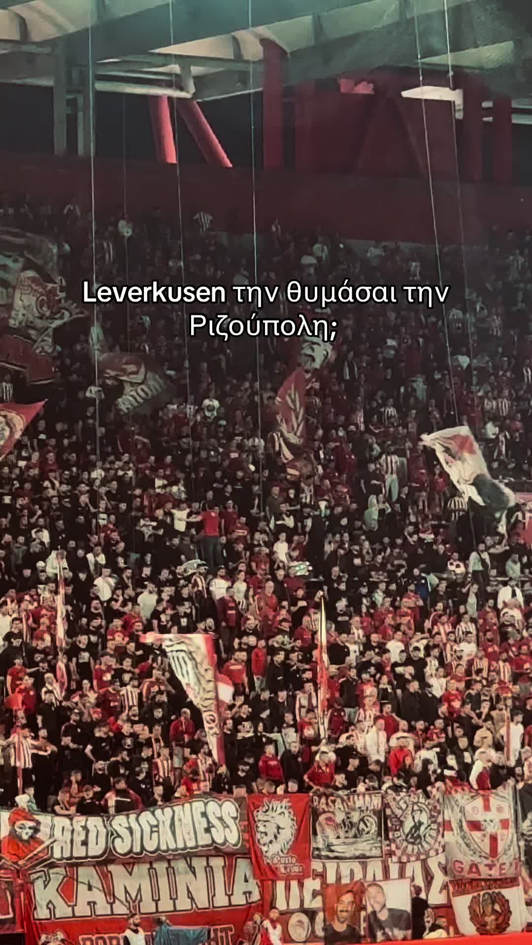 @AlexInRed🥊