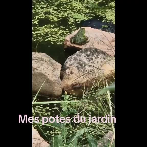 @Miloune au jardin