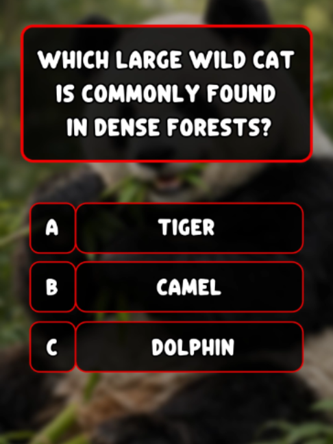@Quiz Master 365