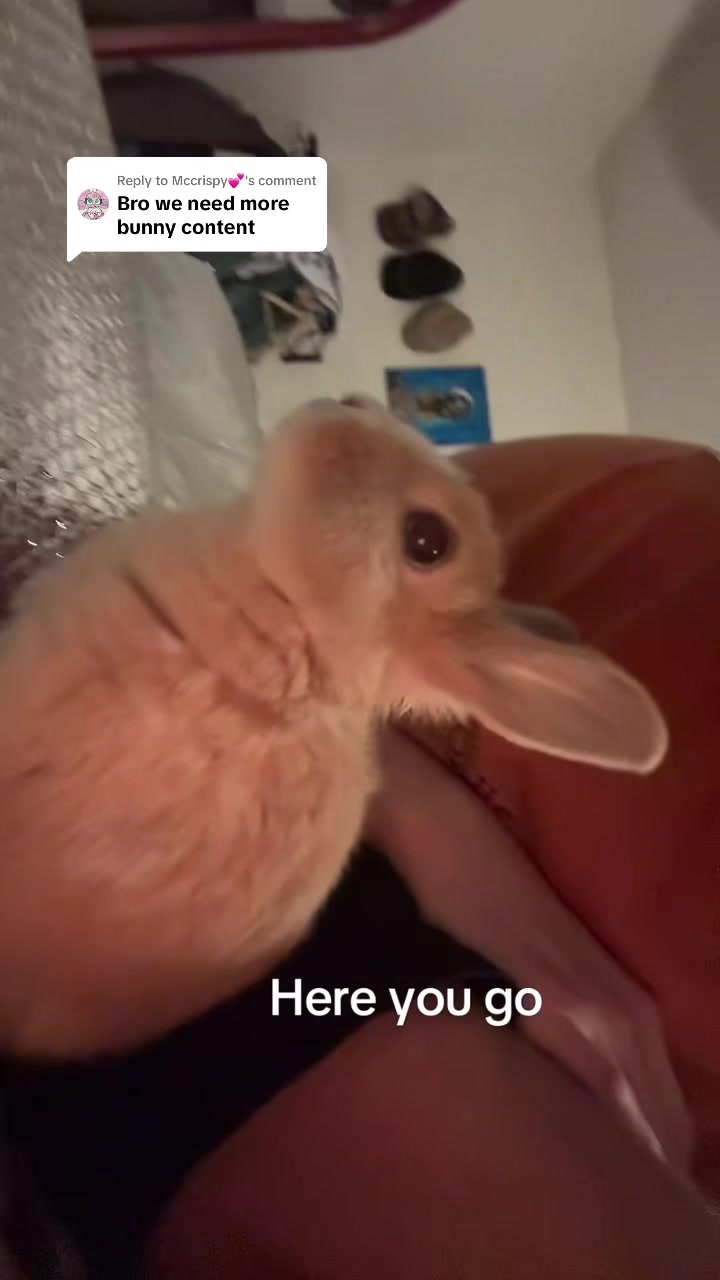 @_llewellyn04
