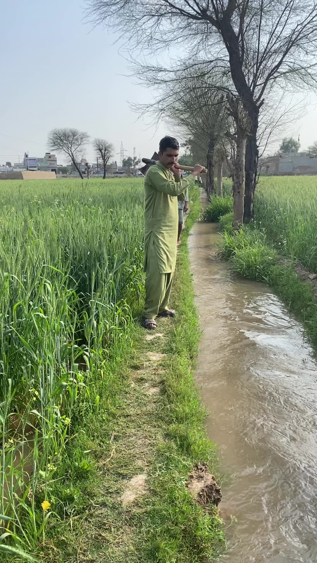 @Imran_Ali_786