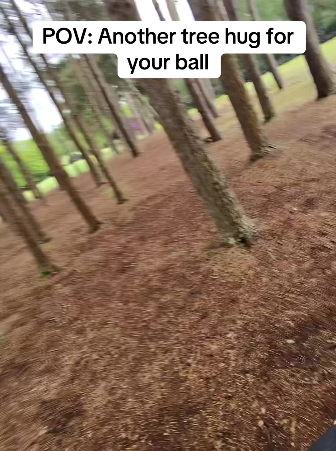 @GolfBite
