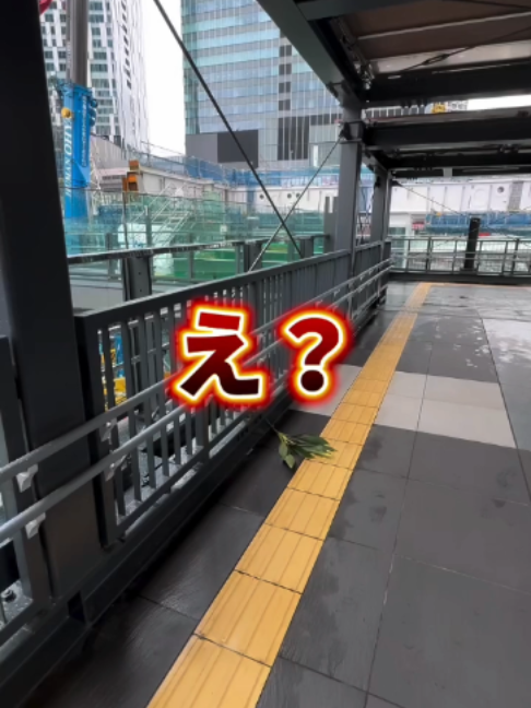 @KyotoTravelJP