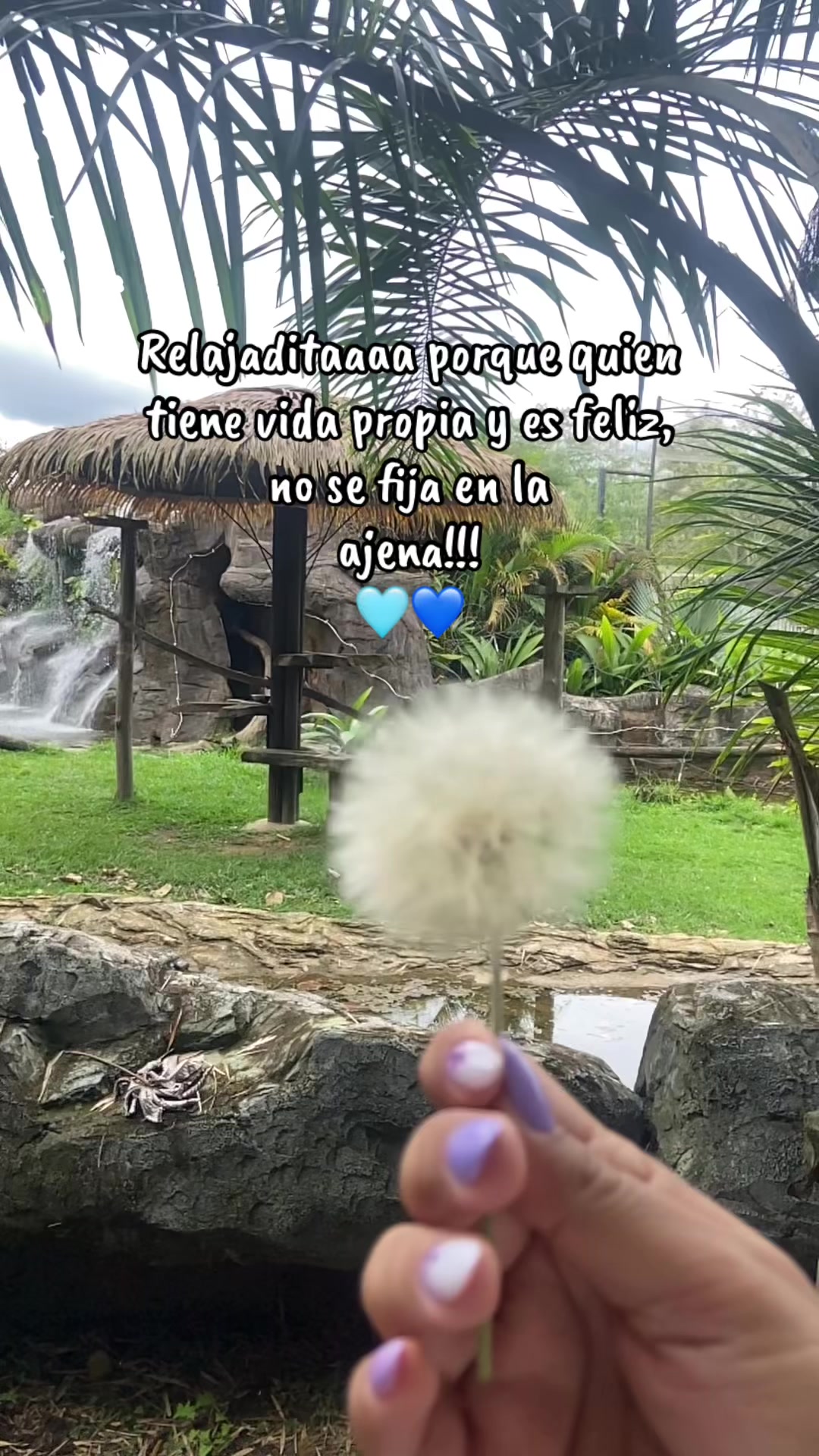 @Maye 🥰💜🖤👩🏼❤️👩🏼🍃🦋