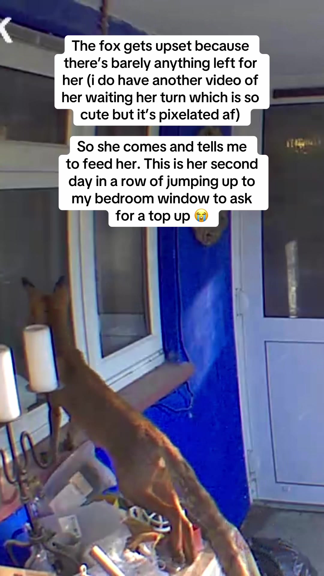 @Jess ♿️
