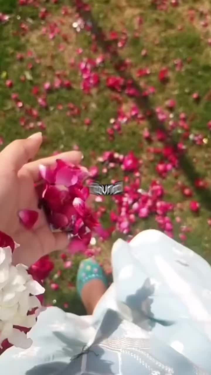 @snowdropctl