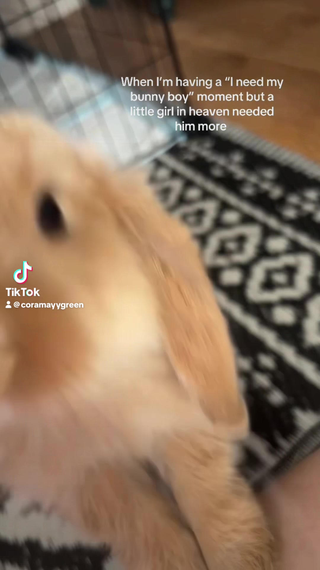 @⃟