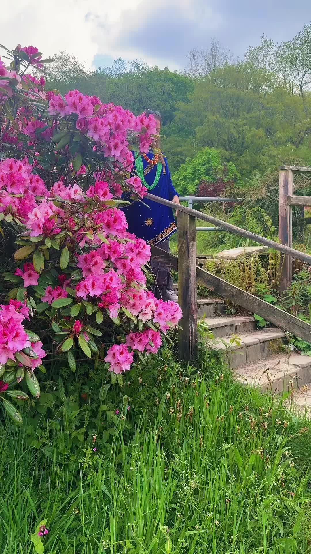 @Kamala 🦋Gurung ✨🙋&zwj;♀️
