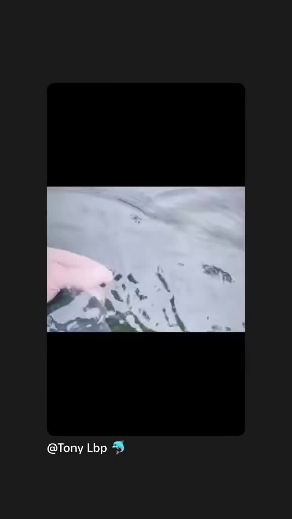 @Loirbaits