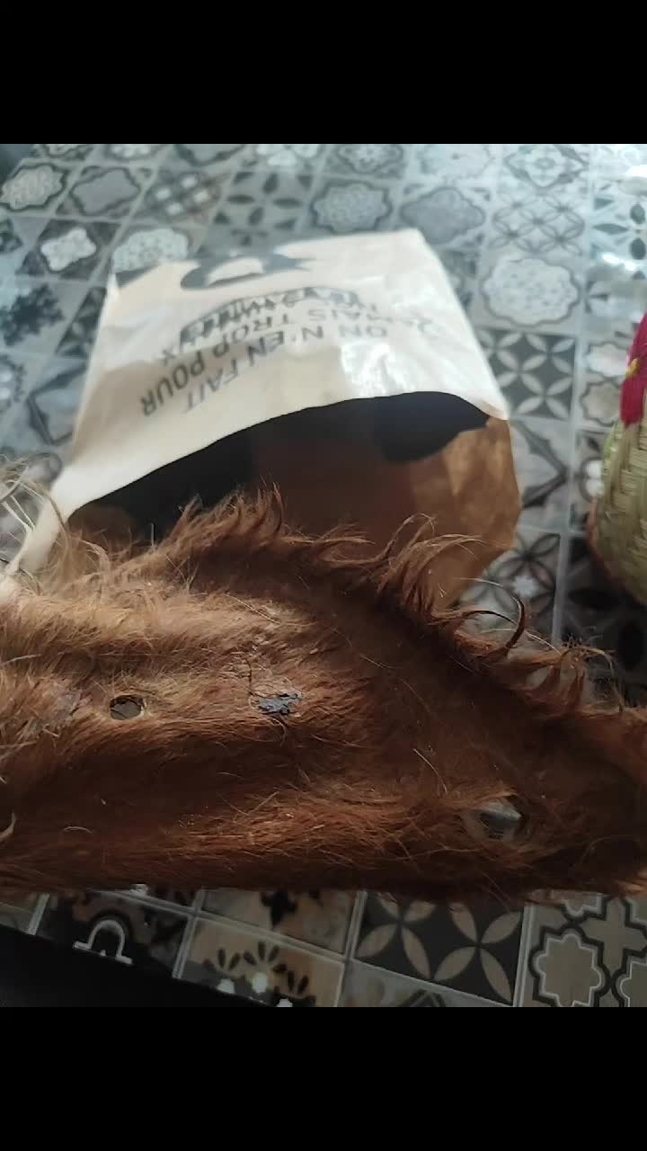 @🐺🐺❤