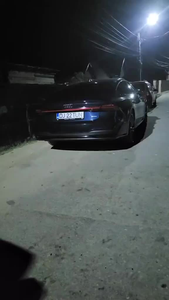 @Dani mocanu regele României