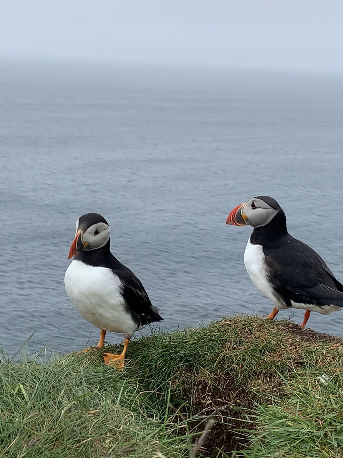 @Orkney Uncovered