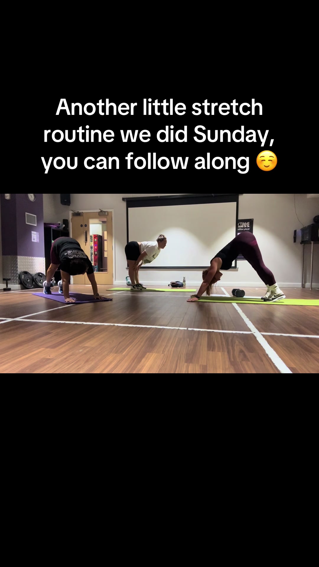 @MichelelanderPT