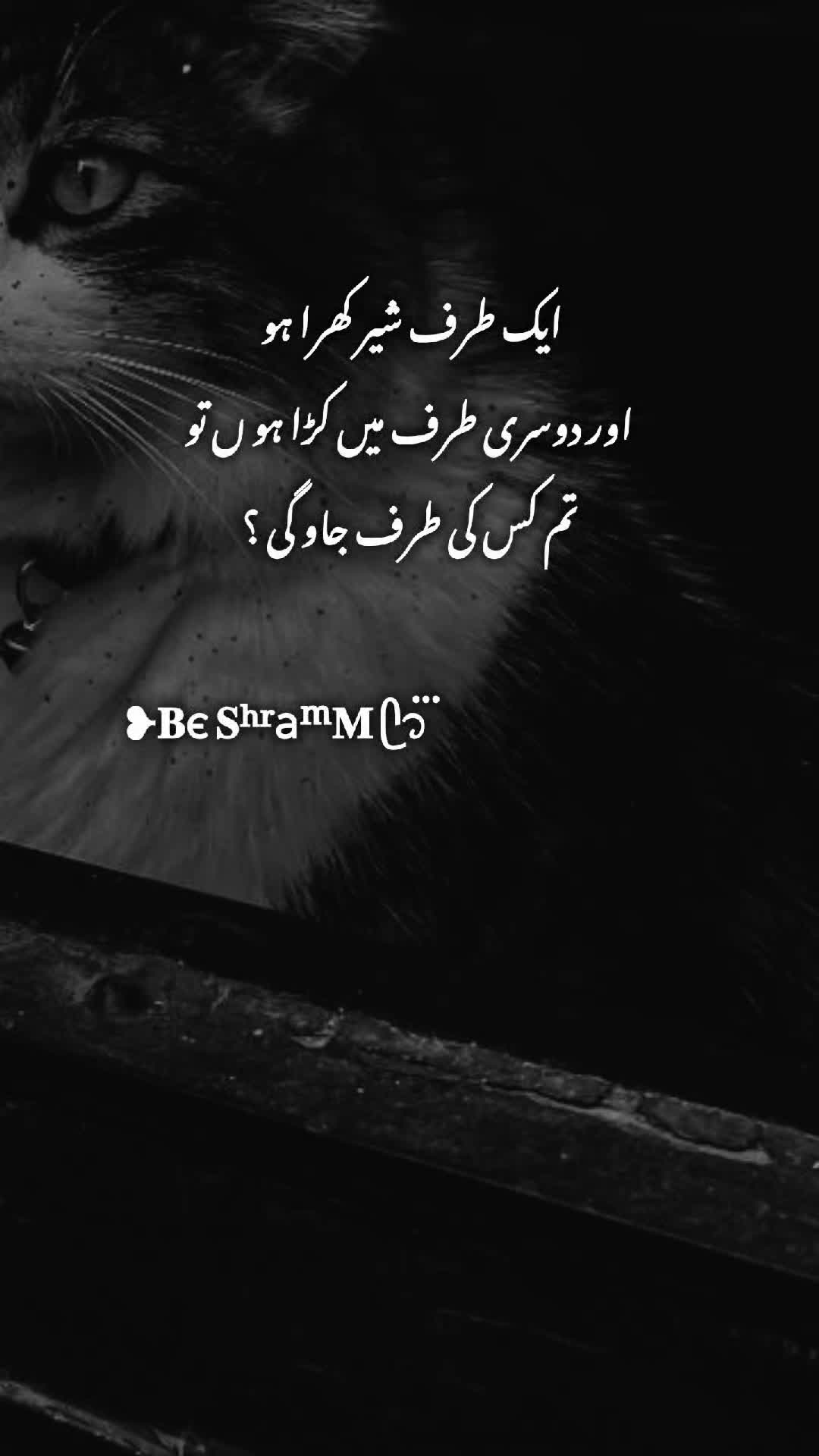 @❥𝐁є 𝐒ʰʳaᵐ𝐌 ᥫ᭡፝֟፝֟