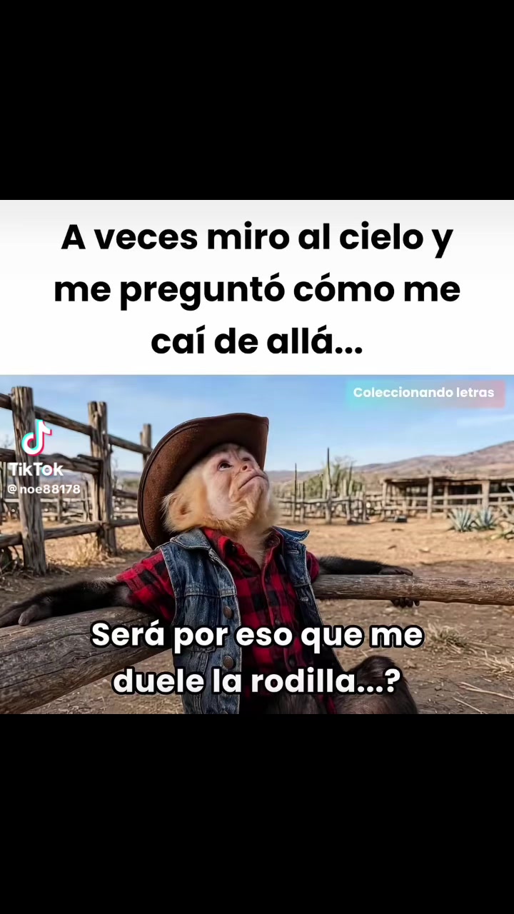 @El🙏xoyito🙏502