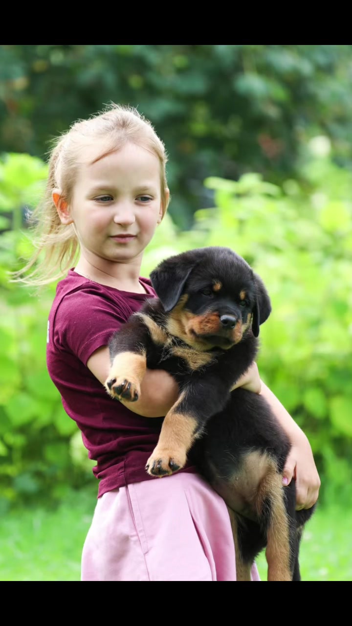 @🇱🇻Kennel HOFZUMBERG🇱🇻