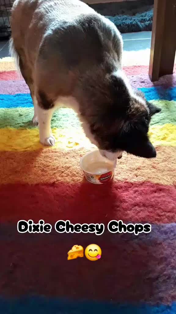 @Katt