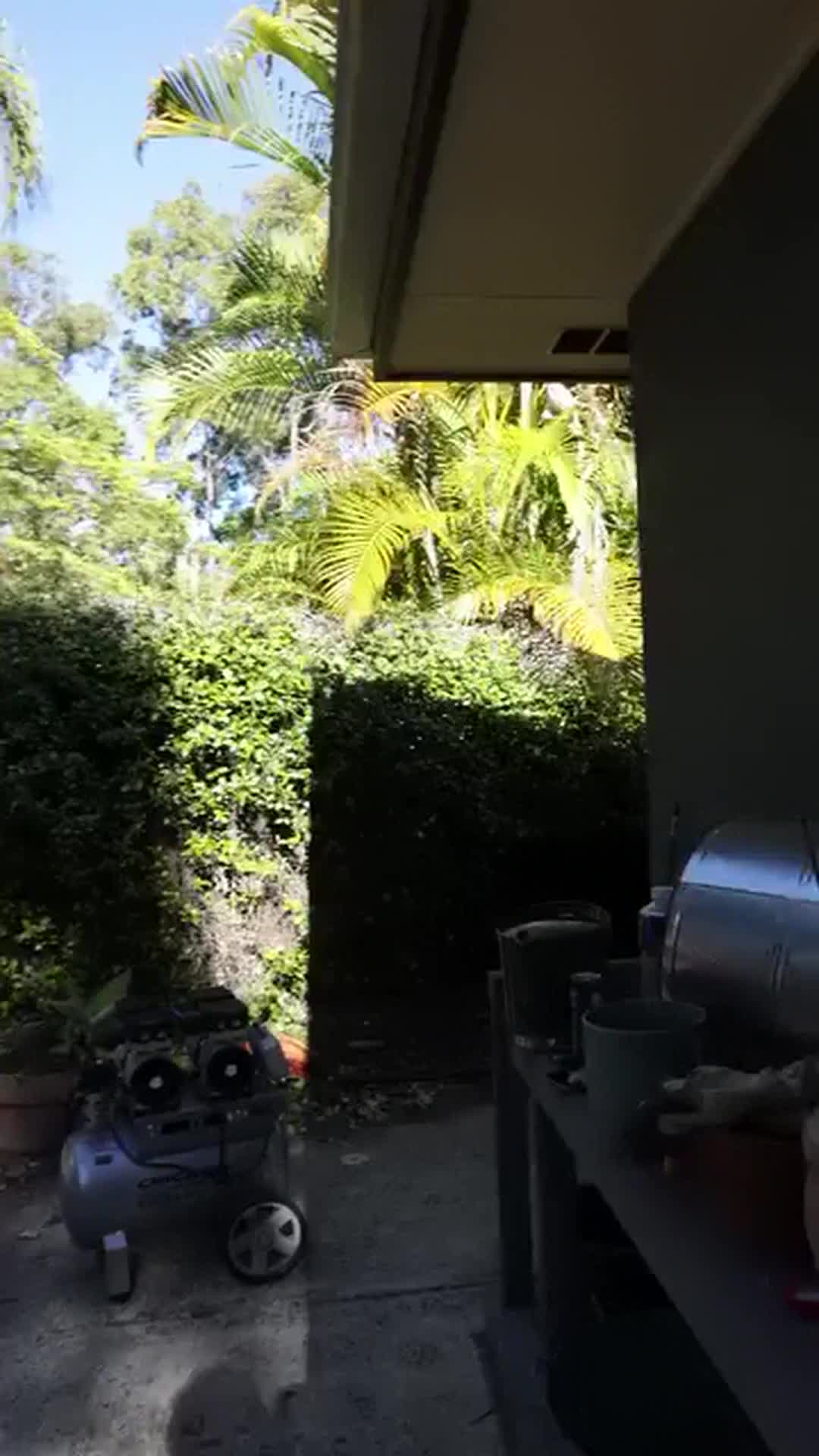 @Tommy 247